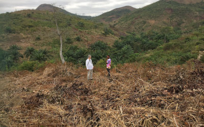 Achat d’un terrain